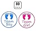 Gender Reveal Stickers - PojoTech Team Boy and Team Girl Baby Shower Stickers Gender Reveal Party Supplies Decorations - 80 Pack