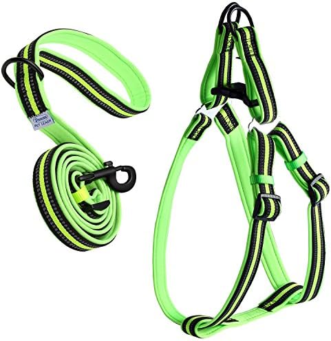 ARIKON Adjustable Padded Reflective Dog Harness and Leash Set, Step-in and No-Choke Dog Walking Training Safety Leash Harness, Durable and Lightweight (10-50 lb (17.7" - 27.5" chest girth))