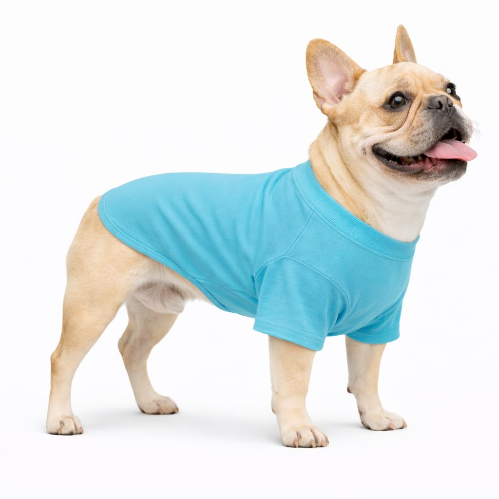 Lovelonglong Bulldog Clothes Dog Clothing Blank T-Shirt Tee Shirts for French Bulldog English Bulldog American Pit Bull Pugs 100% Cotton Skin Care Turquoise B-L