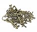 IBS 100 Gram Mixed Antique Skeleton Keys Charms Pendants for Craft Necklace Jewelry Making (Bronze)