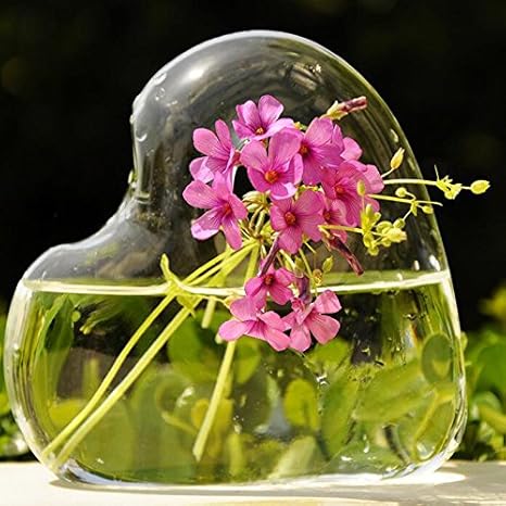 Amazon Co Jp 水耕栽培 カラス製 花瓶 ハート型 生け花用可 可愛い ボトル インテリア 部屋飾り 透明 Home Kitchen
