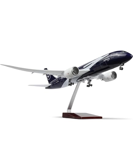 Amazon.com: Boeing 787 787-8 Dreamliner Qatar Airways Desktop