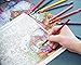 Buffalo Games - Johanna Basford's Secret Garden - Songbird Garden - 500 Piece Jigsaw Puzzle