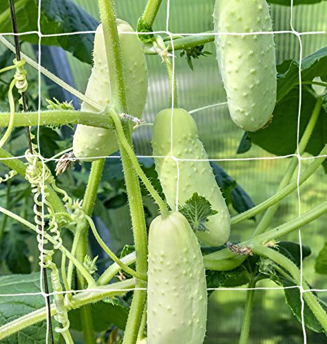 Hywean Ranknetz für Kletterpflanzen Rankhilfe mit 50 Kabelbinder Pflanzennetz Gartennetze Rankgitter Plant Support… – Bild 7