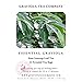 Essential Graviola - 100% pure soursop tea, 25 tea bags