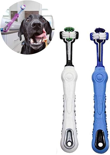 great dane bad breath