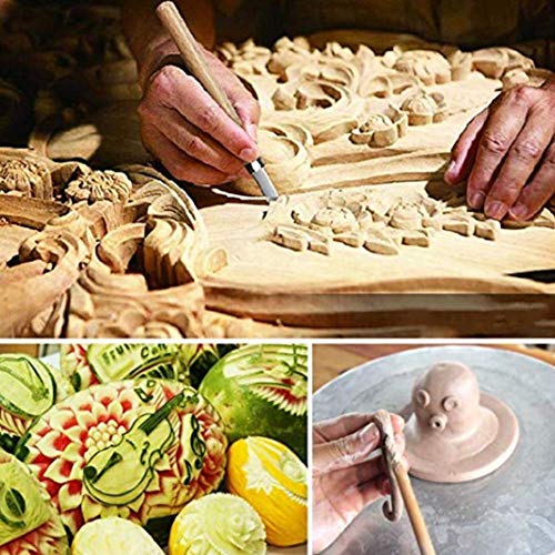 Chiyuehe Wood Carving, 12 Carving Tools Set With Knife Stone & Carrying