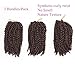 BeautyGrace Pack of 3 Marlybob Crochet Braids Hair Ombre Afro Kinky Curly Braiding Hair Extensions for Girl Women(8
