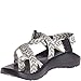 Chaco Women's Z2 Classic Sport Sandal, Trine Bow, 8 M US