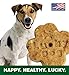Lucky Dog Treats Wheat-Free Peanut Butter and Blueberry Recipe Natural Healthy Ingredients Made in the USA 12 Ounce Box