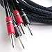 Audioquest: Type 4 Speaker Cable - 4 ft / 1.2m (Pair) - Silver Bananas