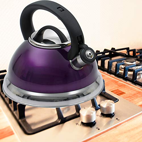 Creative Home Alexa 3.0 Quart Stainless Steel Whistling Tea Kettle Fast