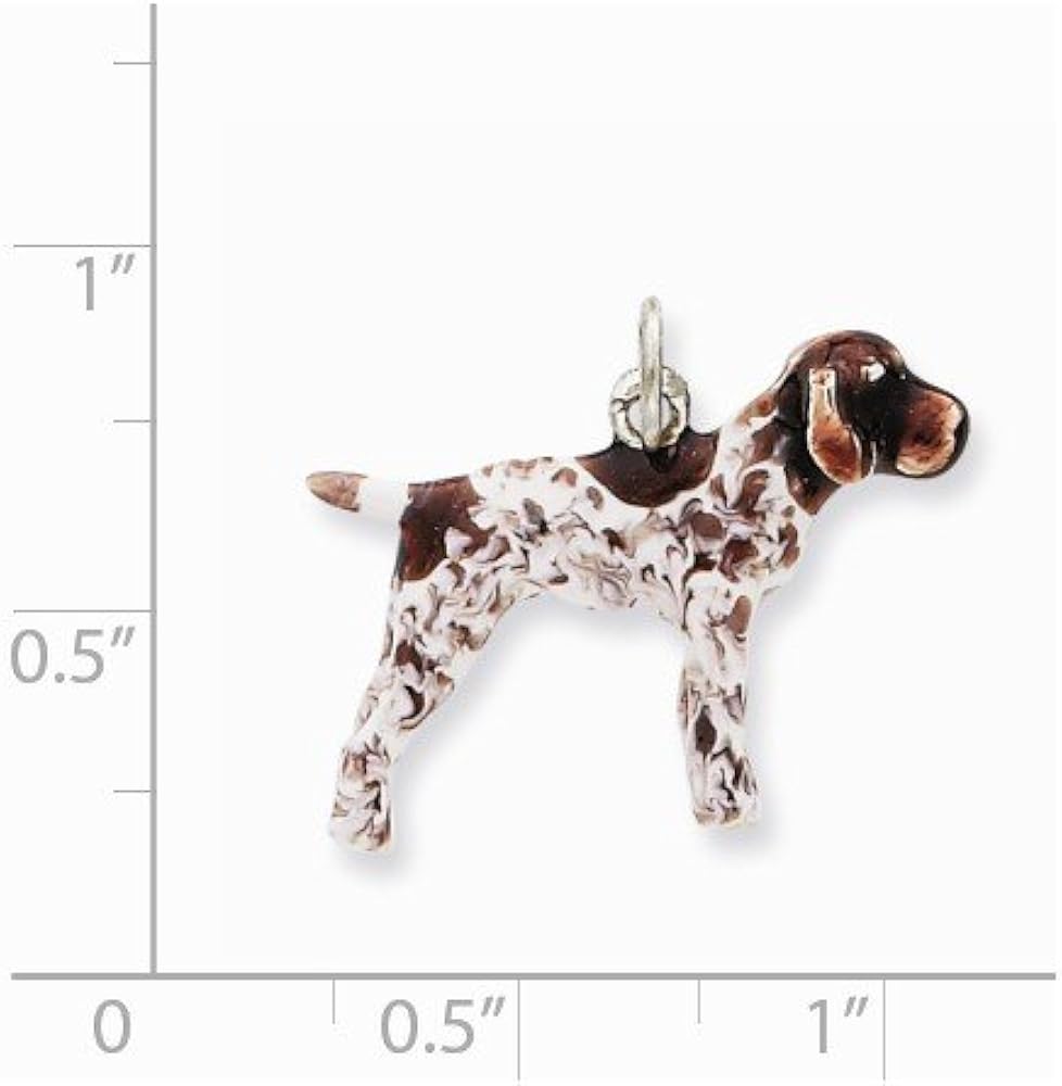 silver german shorthaired pointer