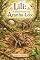 Livro Lili - A história de uma aranha lobo