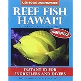 Hawaii Marine Invertebrates and Shells ID