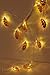 Ling's moment Rose Gold Feather Copper Metal 5Ft 10 LED Lantern String Lights for Party Decorations Rose Gold Bedroom Decor Fairy Lights Bohemian Decorations Wall Decor Bridal Shower Patio Lighting