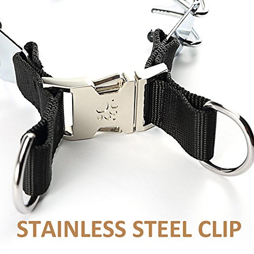 Pit Bull German Shepherd Prong Training Collar, Stainless Steel with
