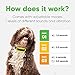 Dog Bark Collar – User Friendly No Shock Anti Bark Collar Device Auto System with 7 Modes Harm Free Shock Free and Super Effective Comes for Small Medium and Large Dogsthumb 2