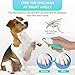 Focuspet Dog Nail Grinder, Pet Nail Grinder Trimmer for Small Medium Large Dogs&Cats Electric Nail Grinder 3 Sanding Ports Shaping Smoothing Portable & Rechargeable with Nail Clippers Nail File