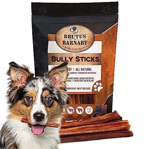 Bully Sticks, All Natural Treat, Low Odor,Long Lasting Beef Rawhide