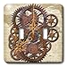 3dRose lsp_108102_2 Steam Punk Cog Wheels in Bronze Double Toggle Switch