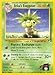 Erika's Exeggutor - Gym Heroes - 44 [Toy]
