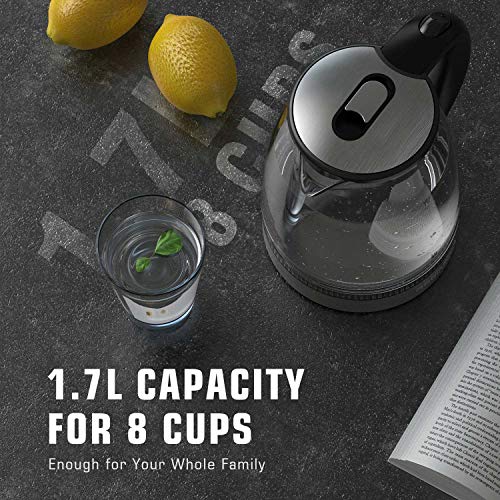 HadinEEon Electric Kettle 1.7L Glass Electric Tea Kettle (BPA Free