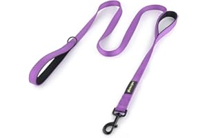Plutus Pet Dog Leash 6ft Long, Traffic Padded Two Handle, Heavy Duty, Reflective Double Handles Lead for Control Safety Training, Leashes for Large Dogs or Medium Dogs, Dual Handles Leads (Purple)