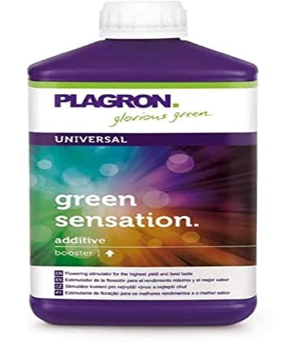 Stimulant Racines Plagron Power Roots 100ml - Développement Racinaire Et Résistance Plantes