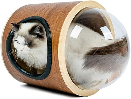 Shijinhao Arbre A Chat Nid Cylindre Montage Mural Capsule Spatiale Moderne Villa Bois Massif Quatre Saisons Universel Meubles For Animaux Color Brown Size 32x32x62cm Amazon Fr Cuisine Maison