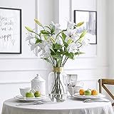 cyl home Vases Cylinder Clear Glass Flower