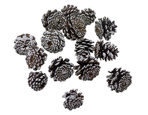 J&J's ToyScape 45-Pcs Christmas Decorative Pine Cones - Natural, Glitter Gold & White | Vase Fillers, Table Scatter, Home Decor, Bowl Display, Christmas Tree