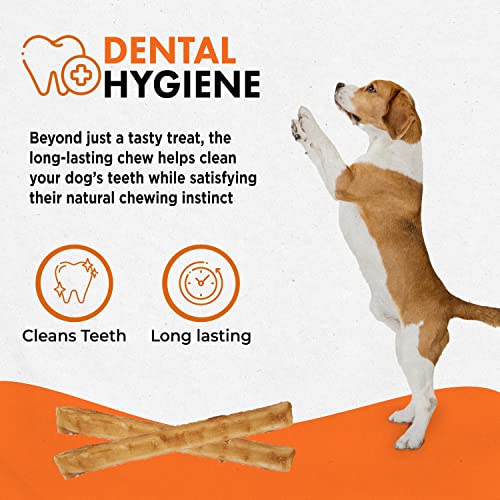 Canine Naturals Beef Chew Rawhide Free Dog Treats Made with Real