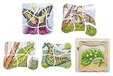 Beleduc 5 Layer Butterfly Puzzle