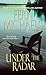 Under the Radar (Sisterhood Series, No. 13)