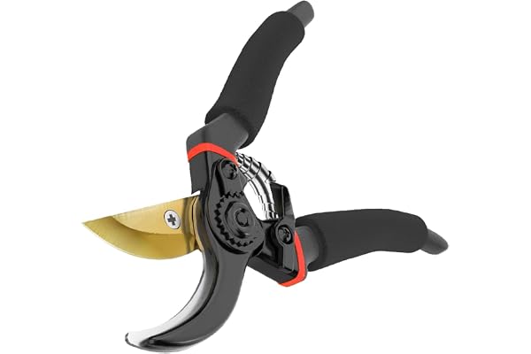 BETUREEIU 8" Professional Premium Titanium Pruning Shears (G20) - Super Sharp Bypass Pruners, Garden Shears, Heavy Duty Handh