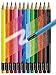 Faber-Castell 116612 Erasable Colouring Pencils with Rubber Tip, Pack of 12 in Cardboard Case