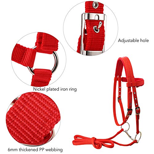 Flytianmy Adjustable Nylon Horse Halter Bridle with Bit and Rein Belt (Black, Large Horse)