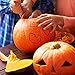 Pumpkin Carving Kit - 12 Piece Heavy Duty Stainless Steel pumpkin carving tools , Easily Carve Sculpt Halloween Jack-O-Lanterns, Carving Tools Make Great Spooky Décor