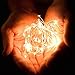 RTGS 60 Warm White Color LED String Lights Batteries Operated on 20 Feet Long Green Color Wire with Black Waterproof Batteries Box and Timer