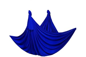 wellsem Deluxe L:5.5 Yards W:3 Yard Pilates Yoga Flying Swing Aerial Yoga Hammock Silk Fabric for Yoga Bodybuilding(5mx2.8m)