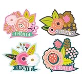 Lucy Darling Monthly Baby Stickers - Baby Girl - Little Blossom - Months 1-12
