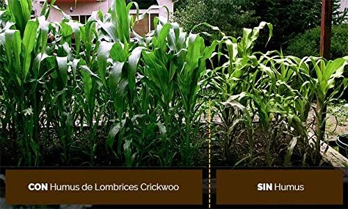 Crickwoo Humus de lombriz 25L (15 kg): Amazon.es: Jardín