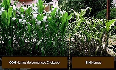 Crickwoo Humus de lombriz 25L (15 kg): Amazon.es: Jardín