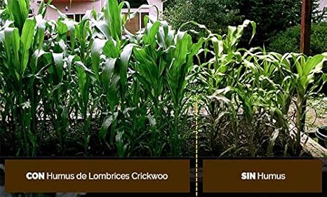 Crickwoo Humus de lombriz 25L (15 kg): Amazon.es: Jardín