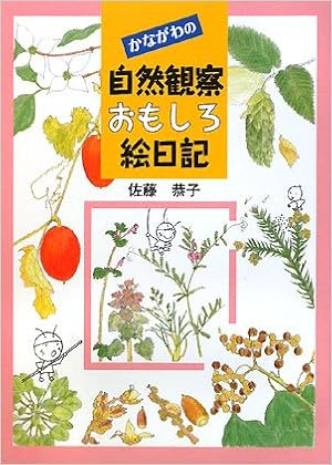 E ª I Iz C Rsiz A µ Esg U L Amazon Co Uk 9784876454358 Books