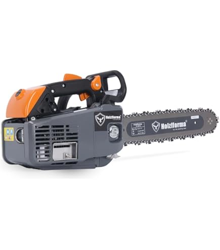 51mp1QLiR2L._AC_UL495_SR435,