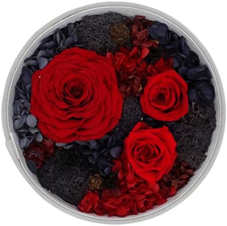 Moleya Secret Garden 7.8 Inch Romantic Handmade Preserved Fresh Flowers Roses Bouquet