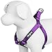 Blueberry Pet Essentials Step-in Dog Harness, Large Size | Adjustable Dark Orchid Vest | Classic Solid Nylon for Boy & Girl Dogs, Chest Girth 26