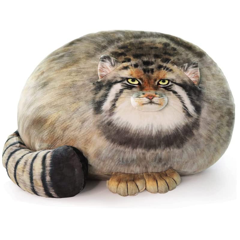 XIAOHONG Chubby Steppe Cat Pillow, 18'' Pallas Cat Plush Pillow, Cute Steppe Cat Stuffed Animal Soft Plushie, Kitten Plush Throw Pillow Doll Big Plush Toy Gift for Girls Boys Girlfriend